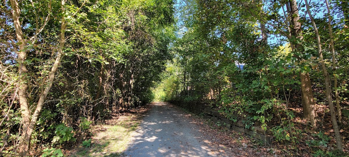 Mallard Creek Greenway