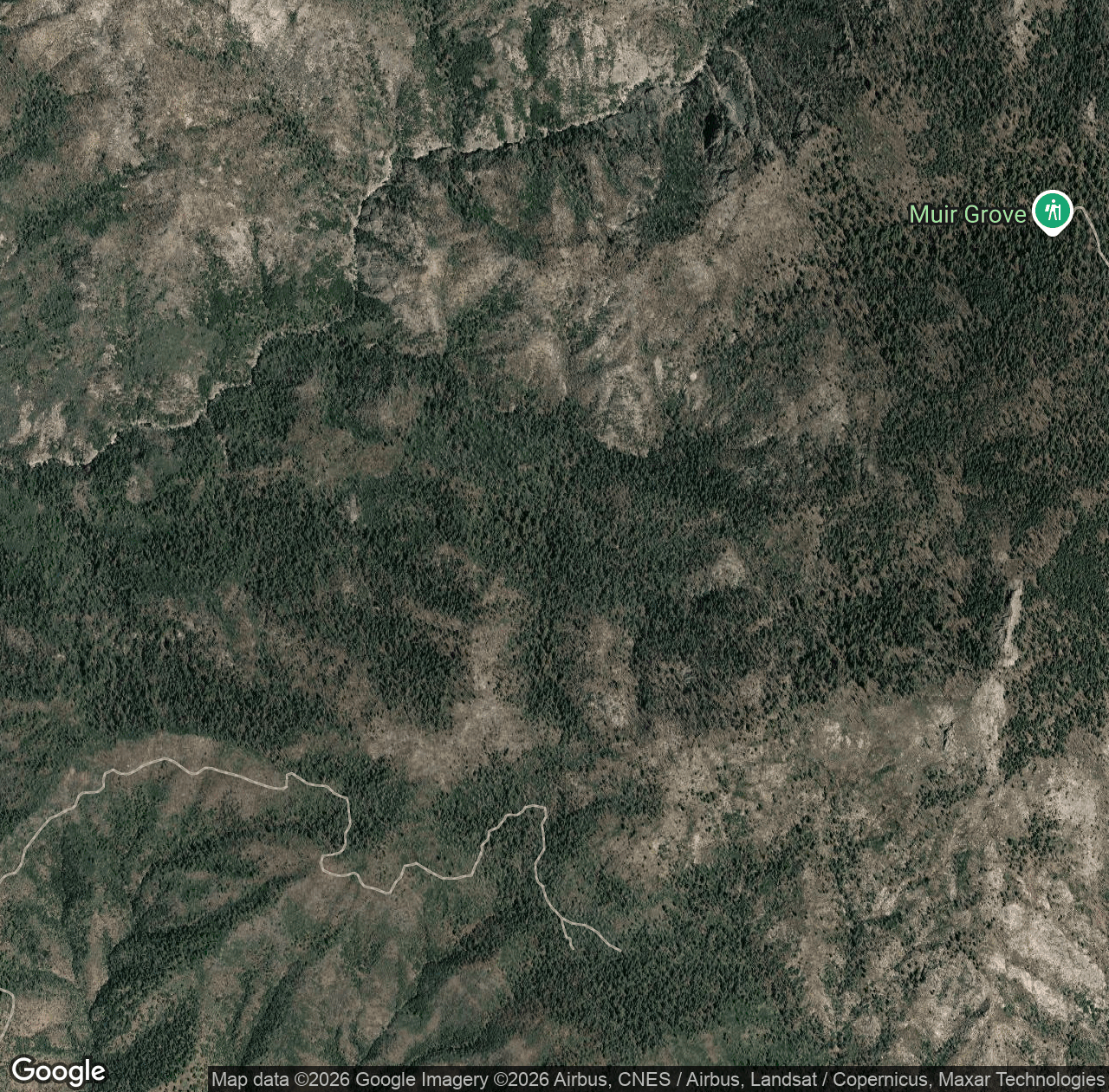Pine Ridge Grove