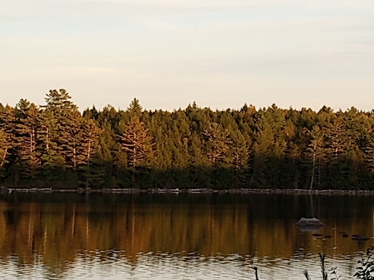 Pocumcus Lake