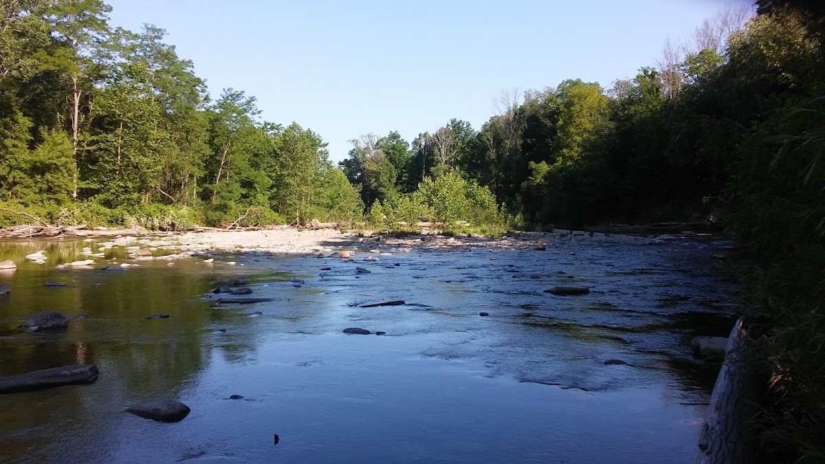 Elk Creek