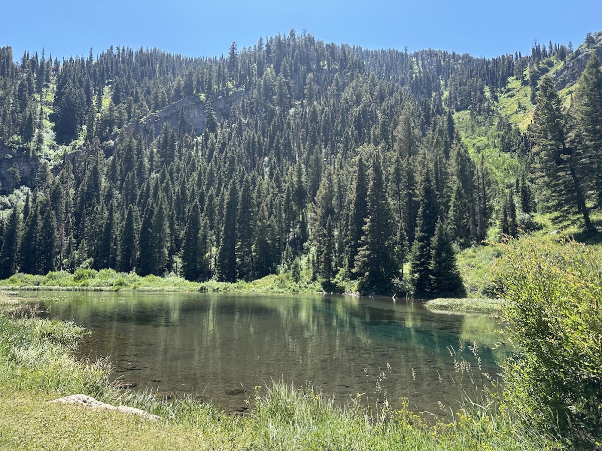Strawberry Creek Trail