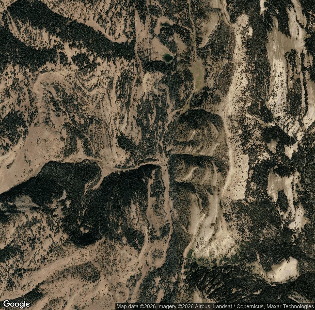 1171 - Commissary Ridge Trail