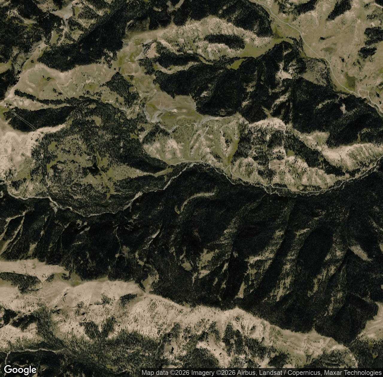 Timber Creek / Deer Creek Trail
