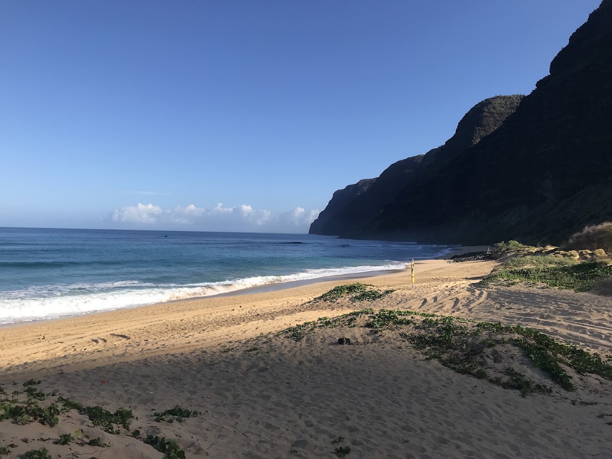 Barking Sands Beach