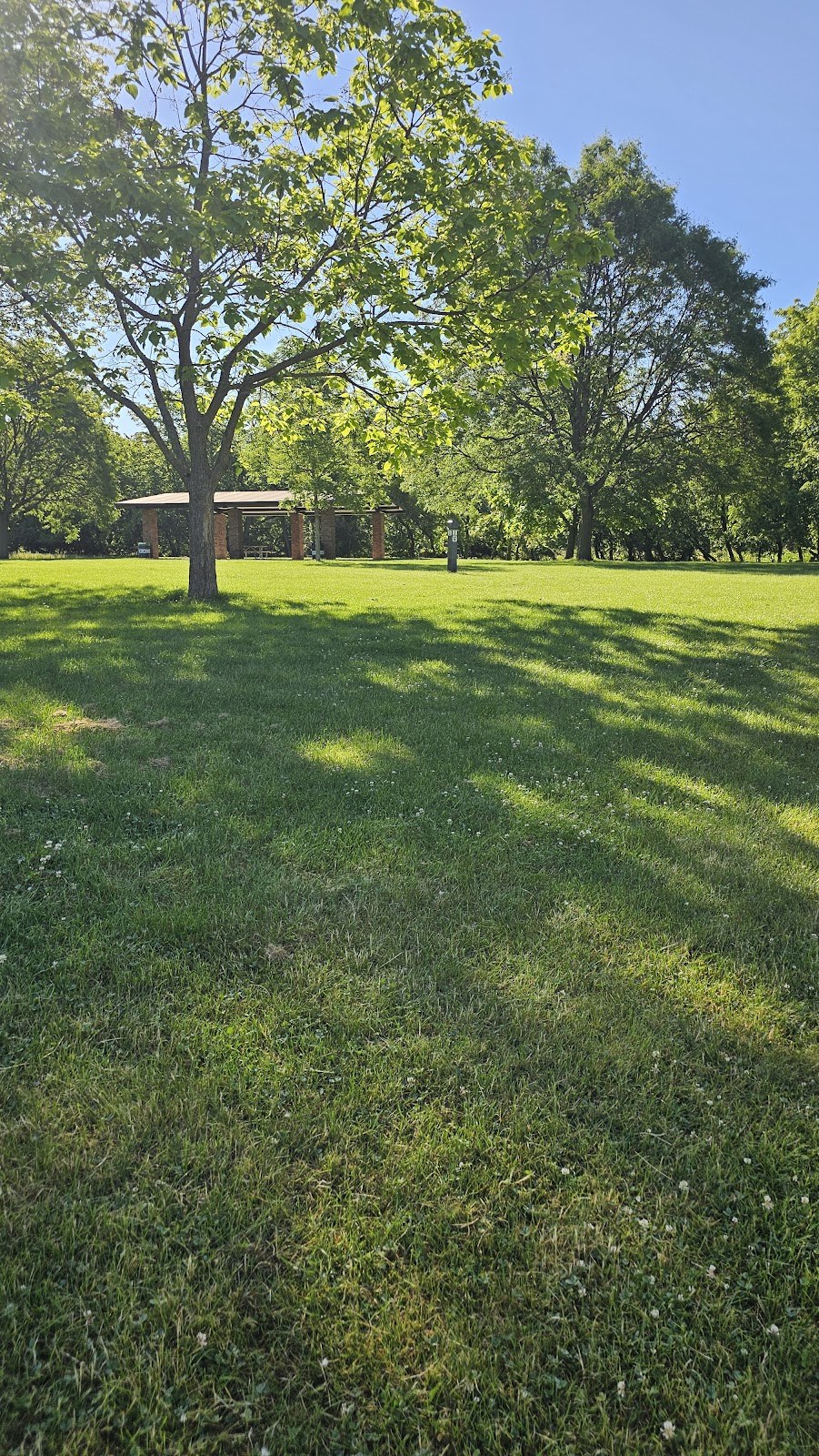 Saint Paul Woods