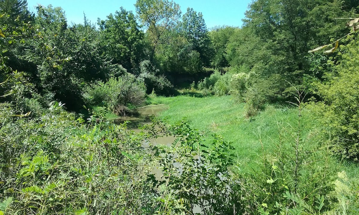 Wilderness Park Conservation Area