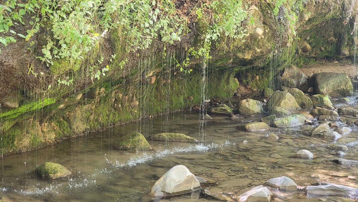 Diamond Fork River