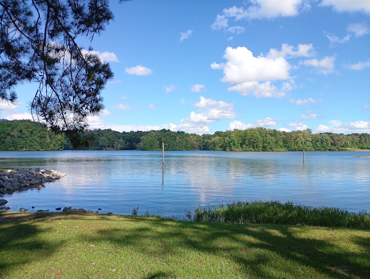 Lake Lamar Bruce