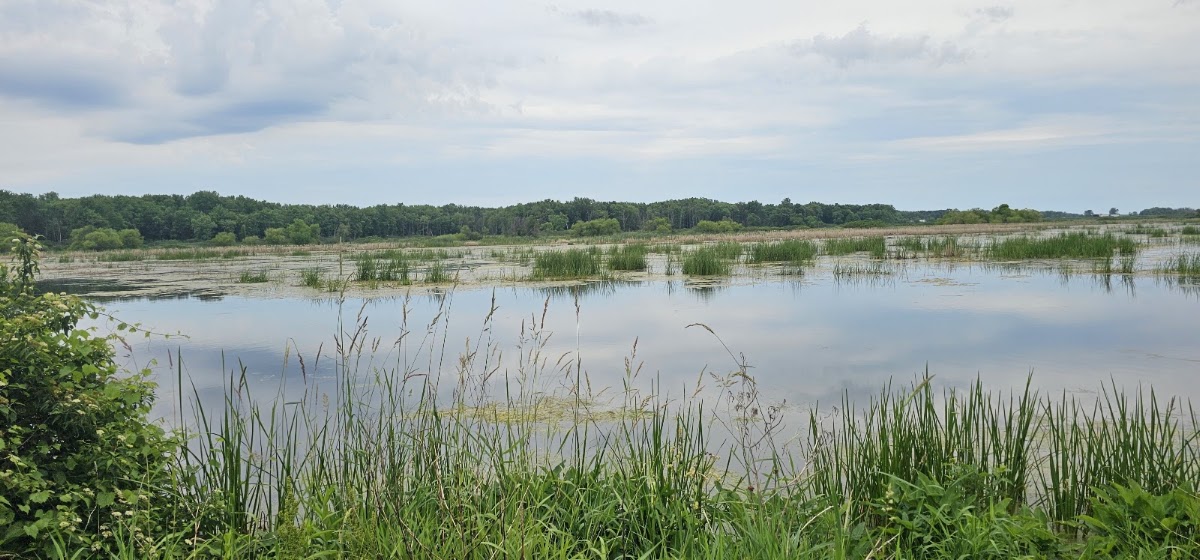 Maple River