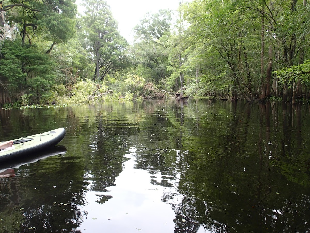 Hillsborough River