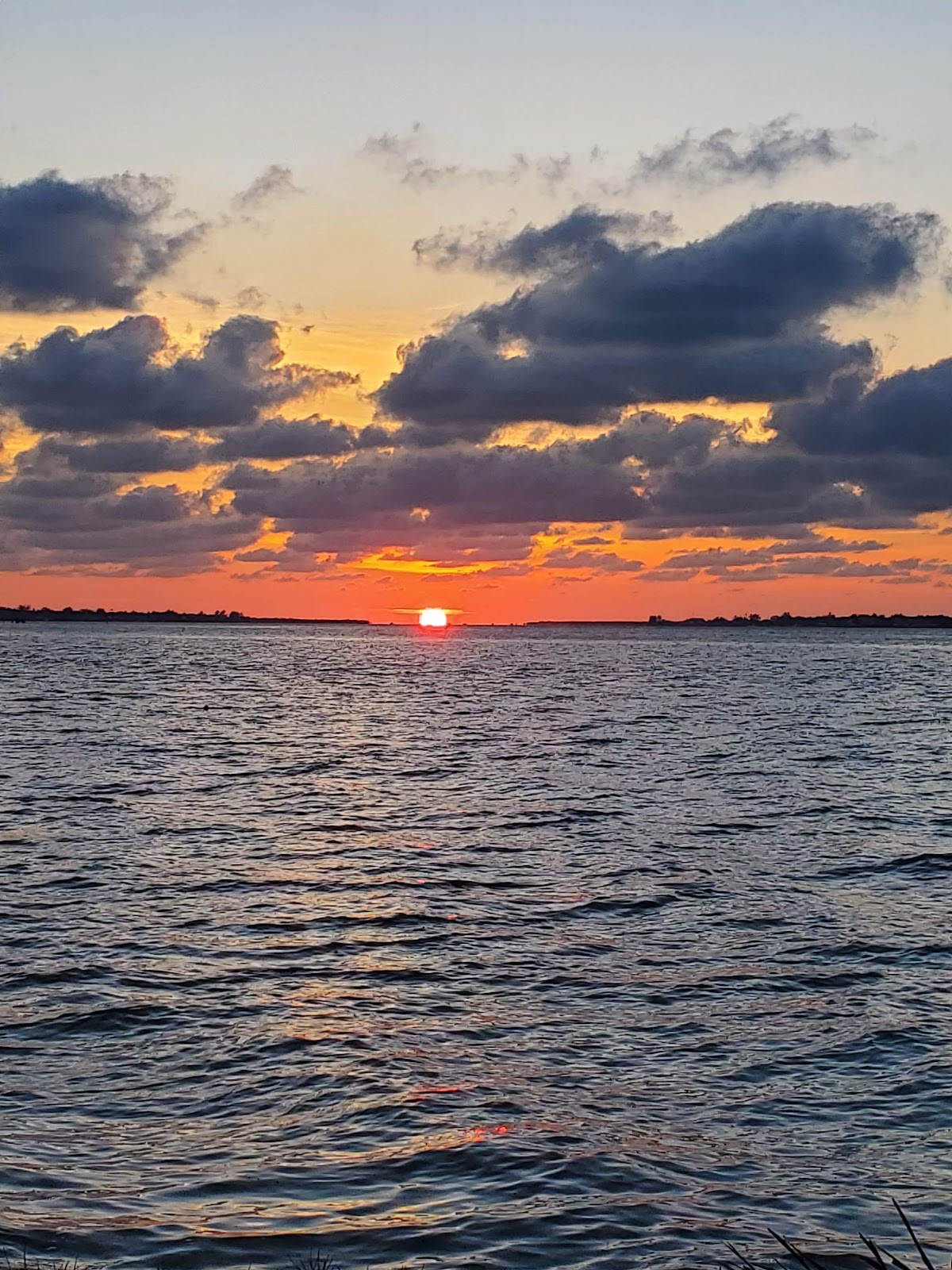 Manatee River