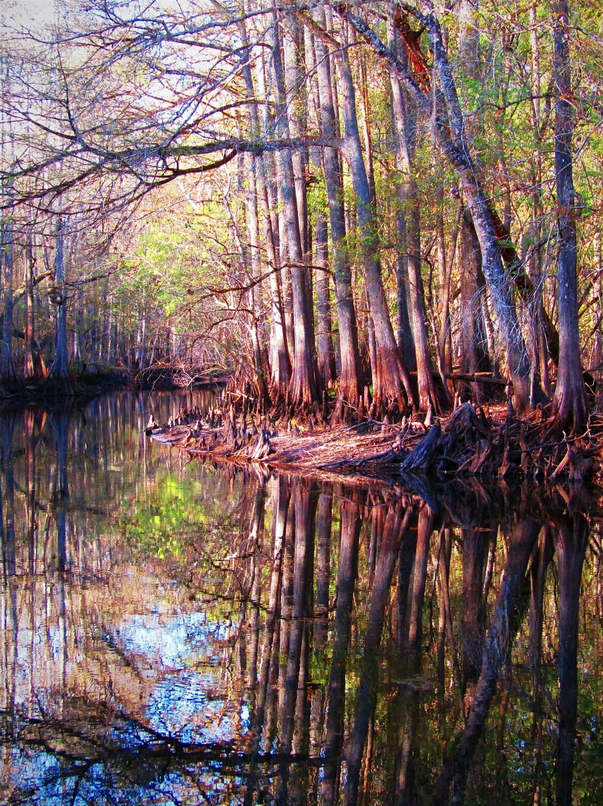Withlacoochee River