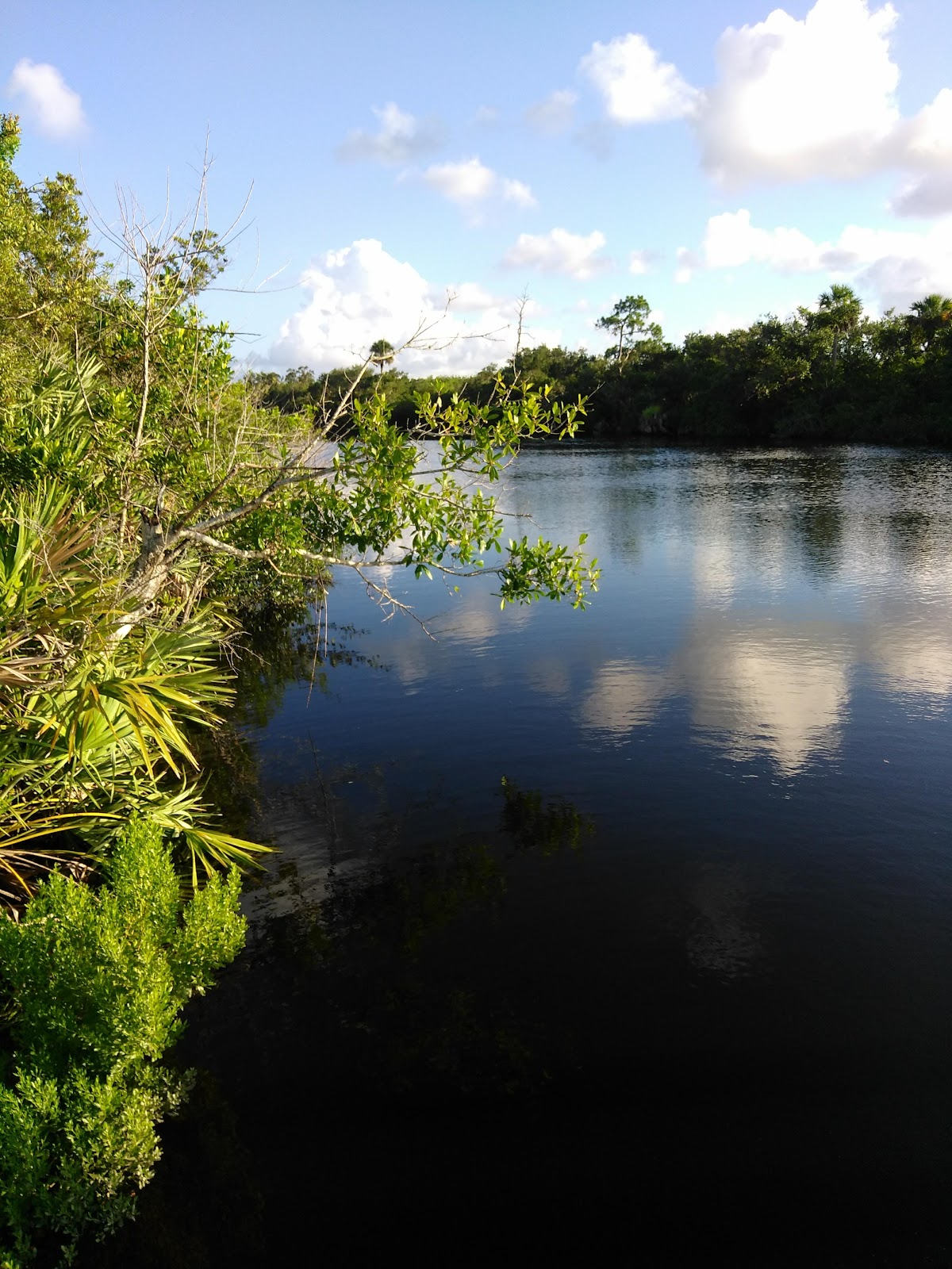North Fork Saint Lucie River