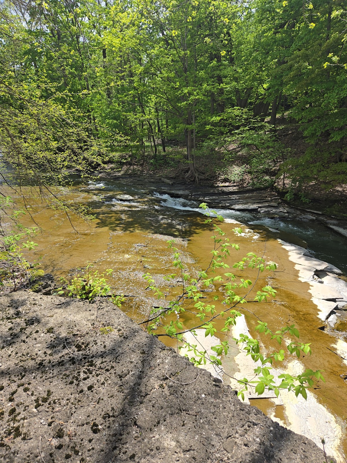 Canadaway Creek