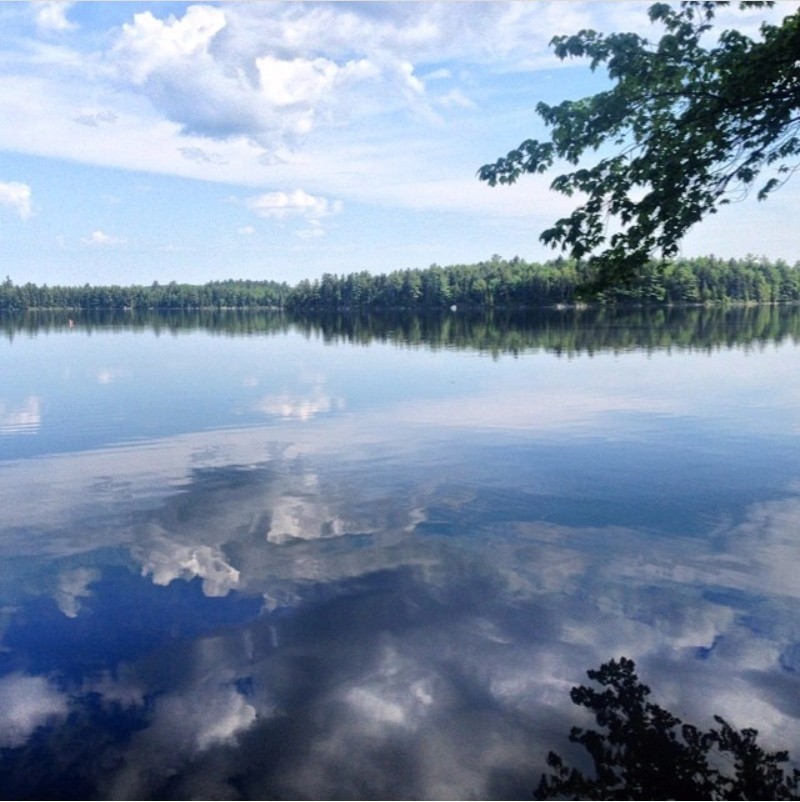 Bog Lake