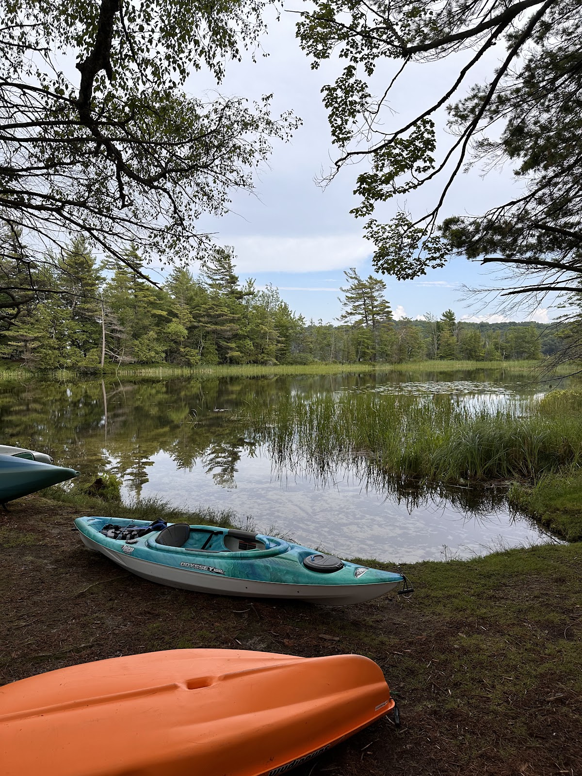 Hamlin Lake