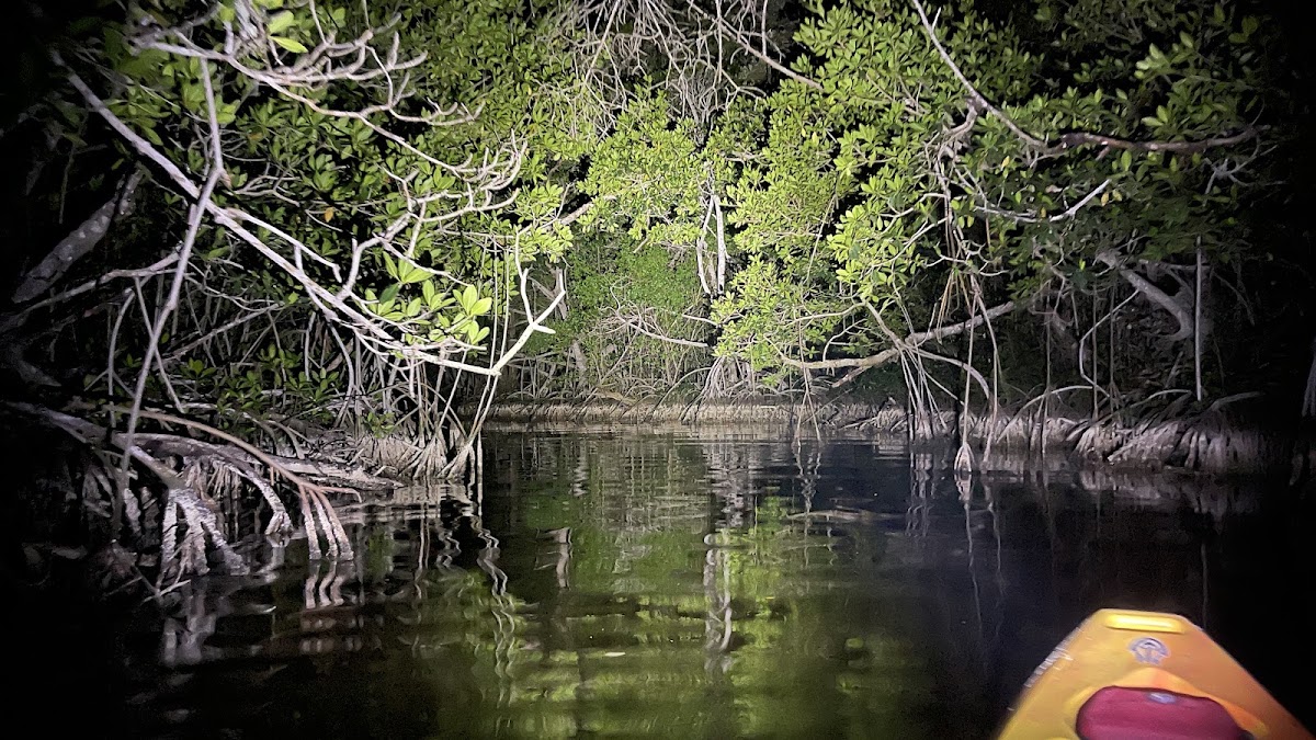 Long Lake