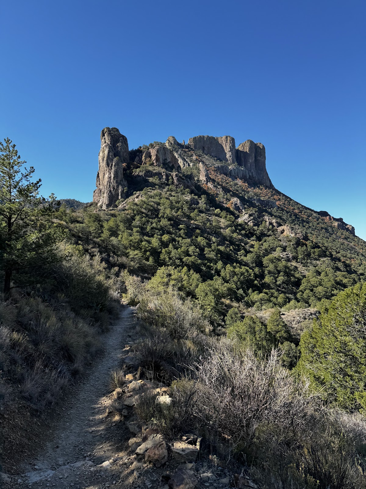 Lost Mine Trail
