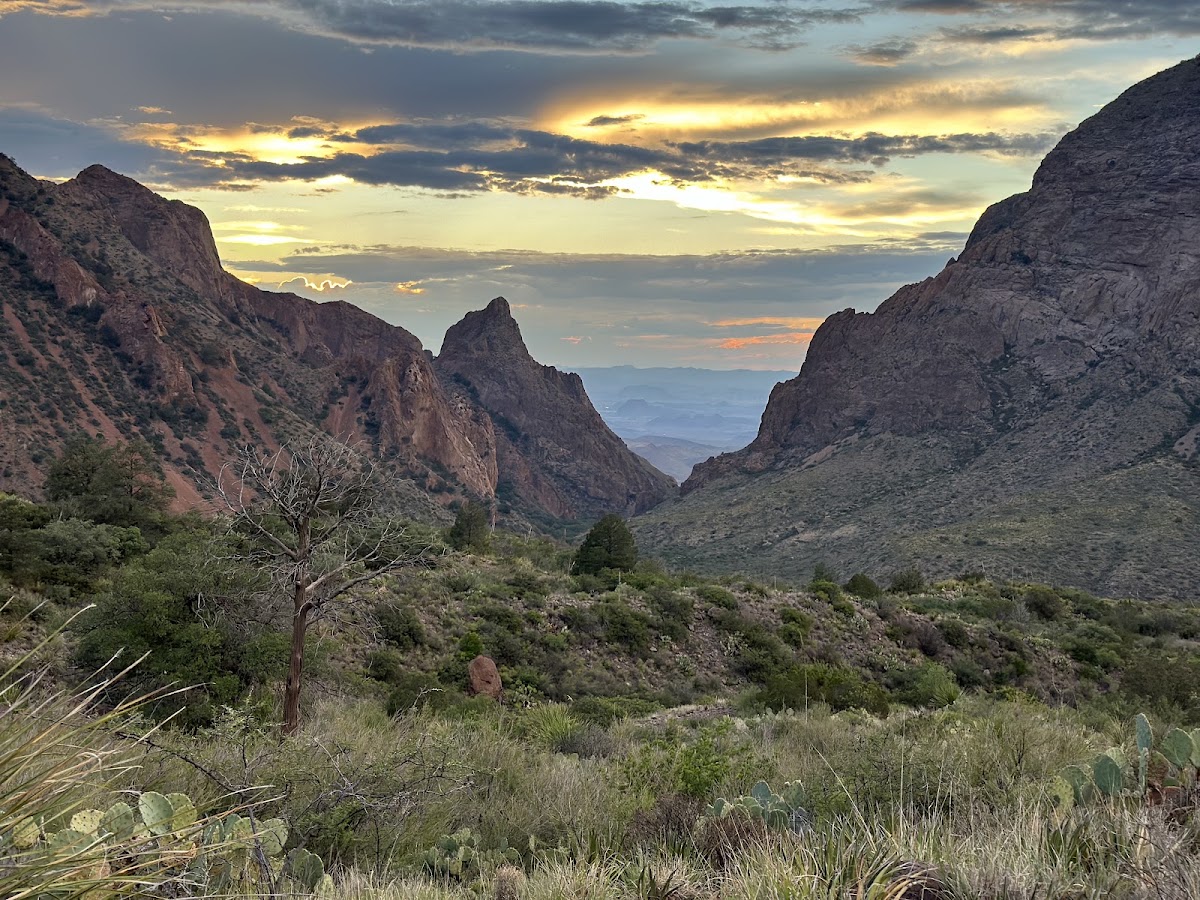 Window View Trail