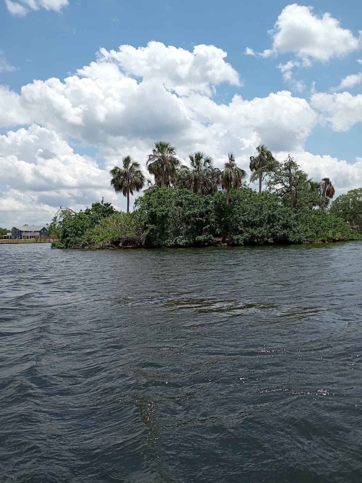 Homosassa River