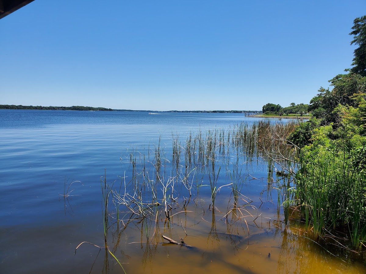 Lake Tarpon