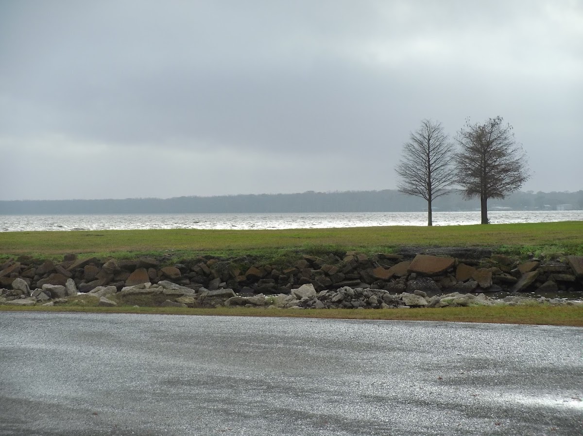 Lake Palourde
