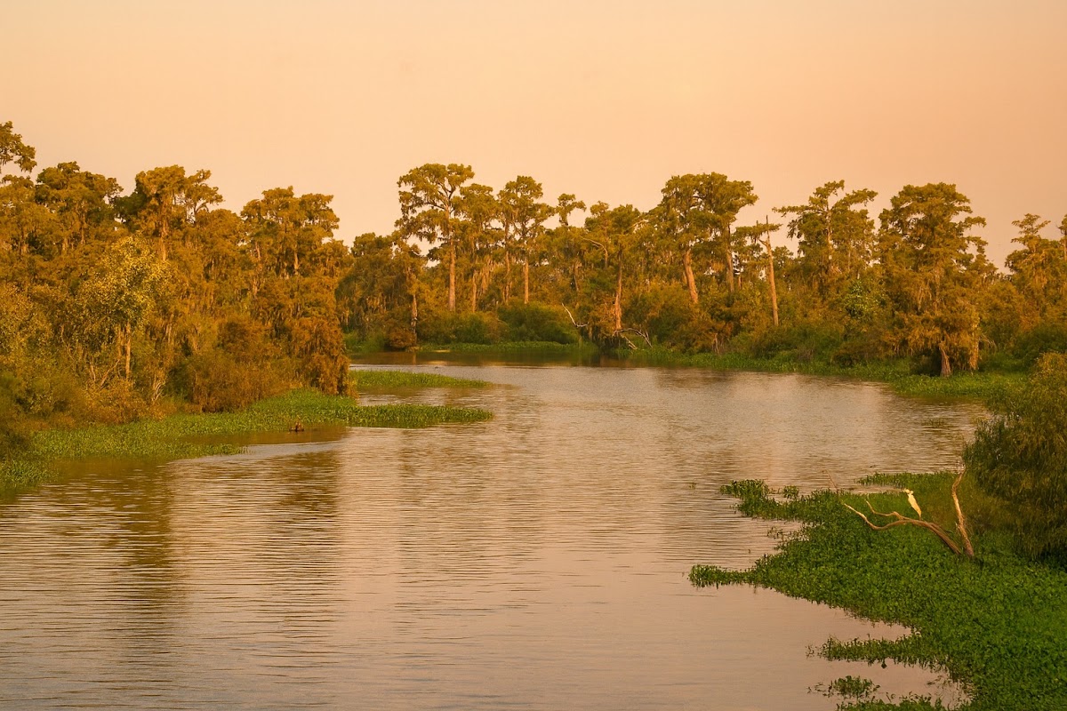 Lake Maurepas