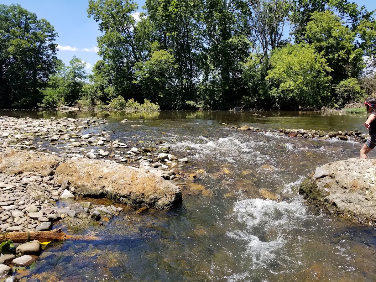 North Fork Shenandoah River
