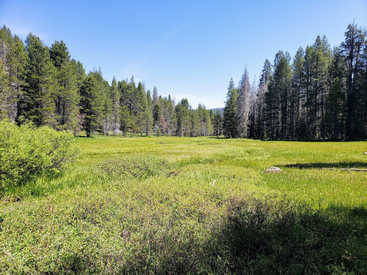 McGurk Meadow Trail
