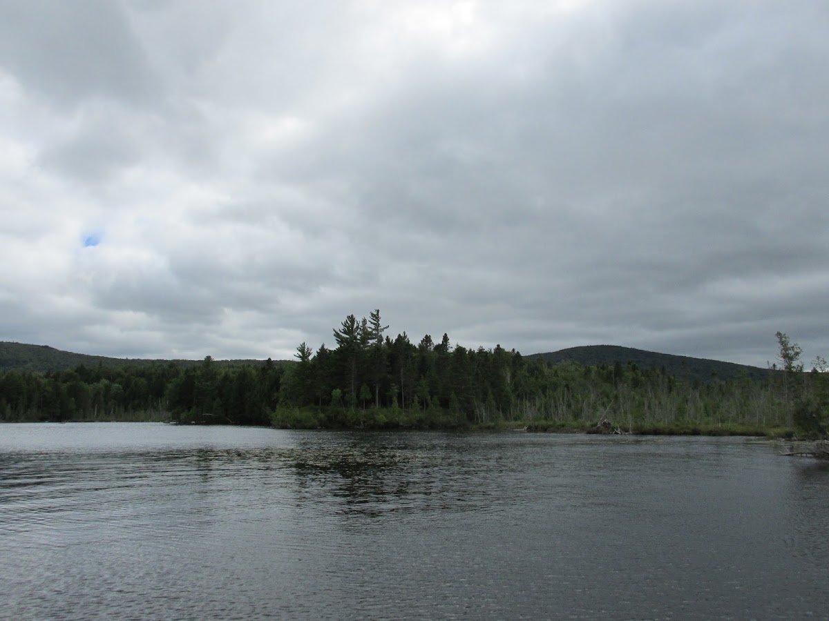 Prong Pond
