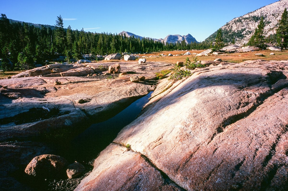 Kerrick Meadow Trail