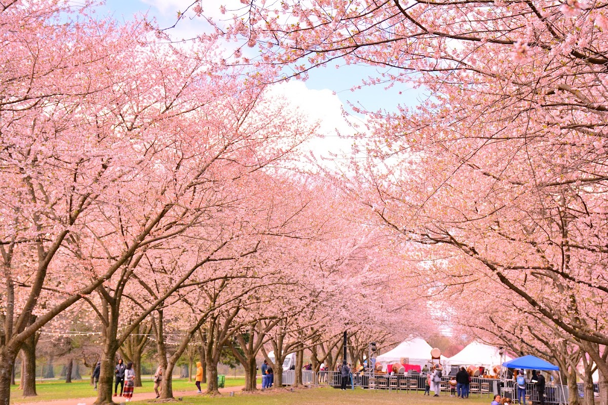 West Fairmount Park