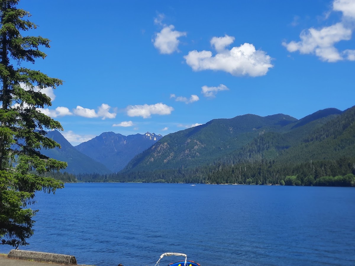 Wynoochee Lake