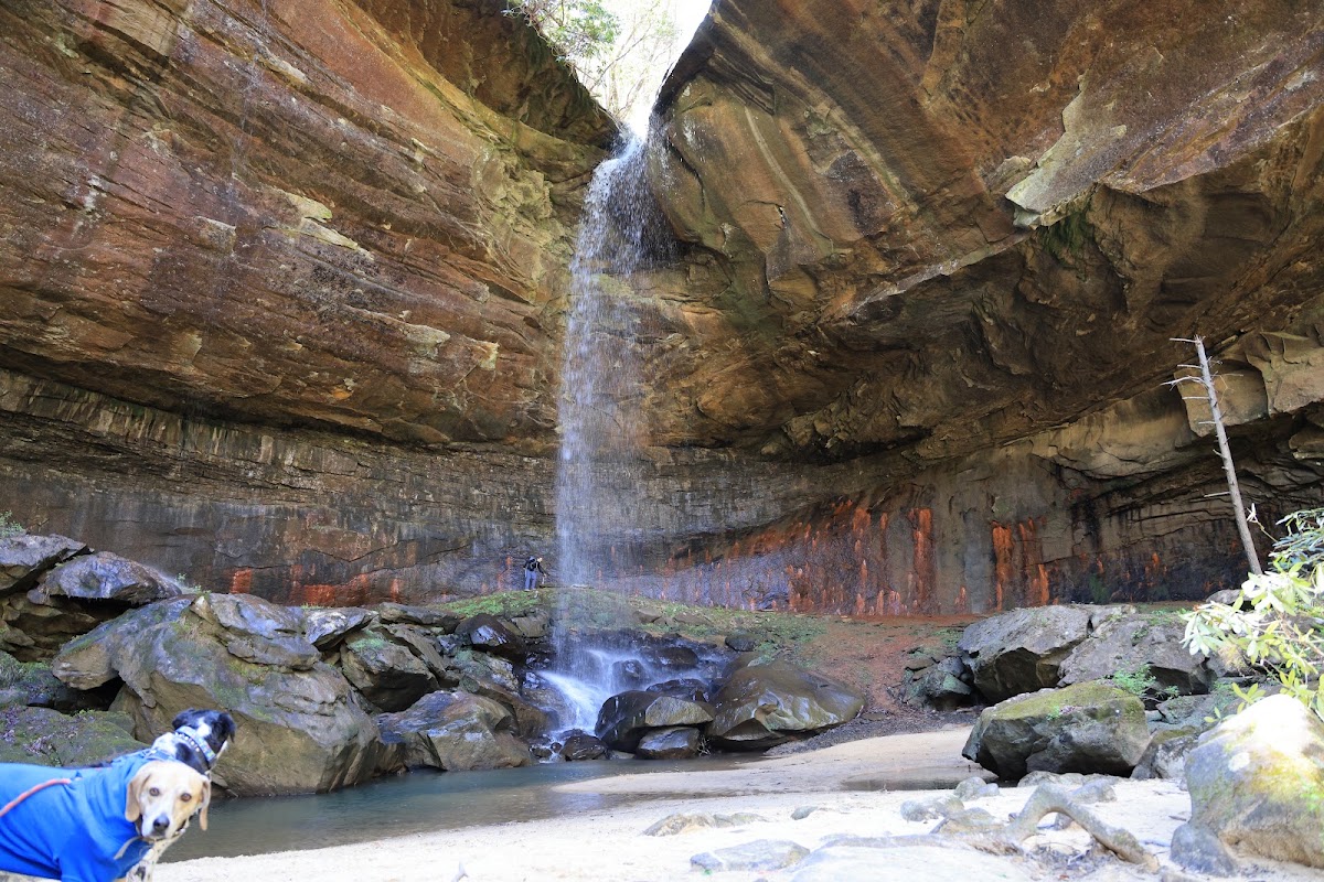 Lick Creek Trail 631