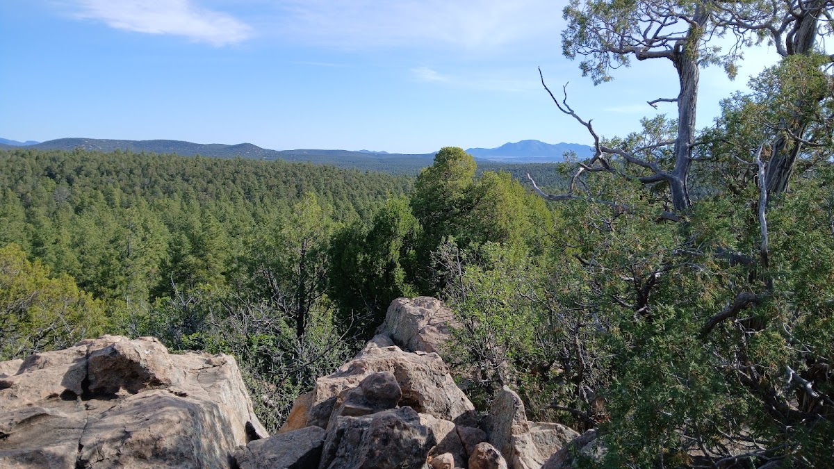 Juan Tomas Open Space