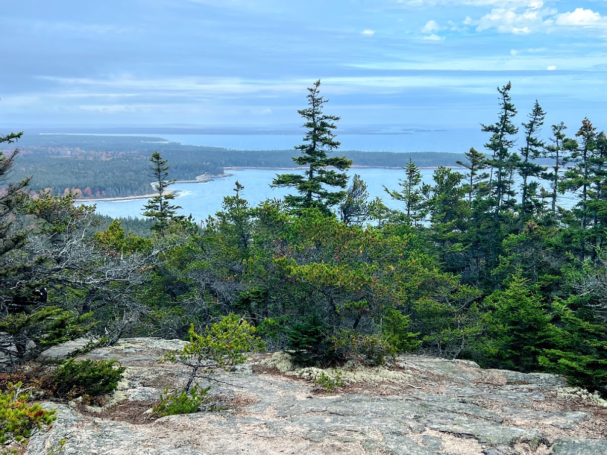 Schoodic Head Trail