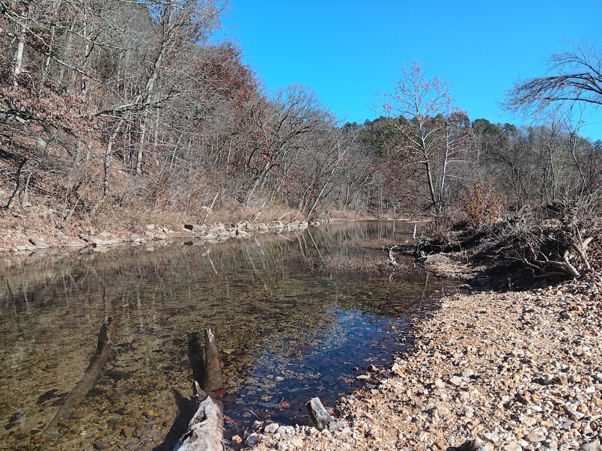 South Prong Jacks Fork
