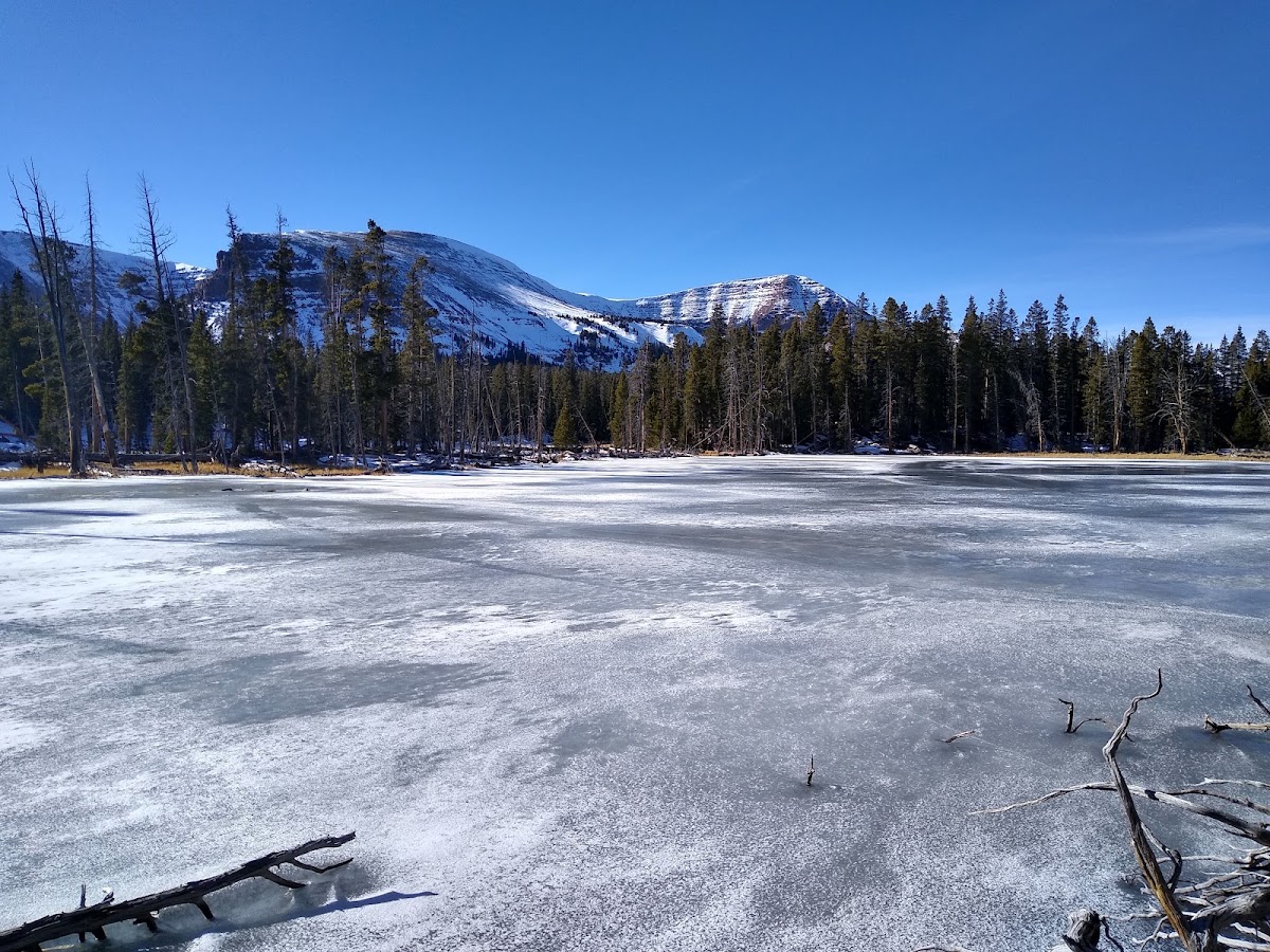 Goose Lakes