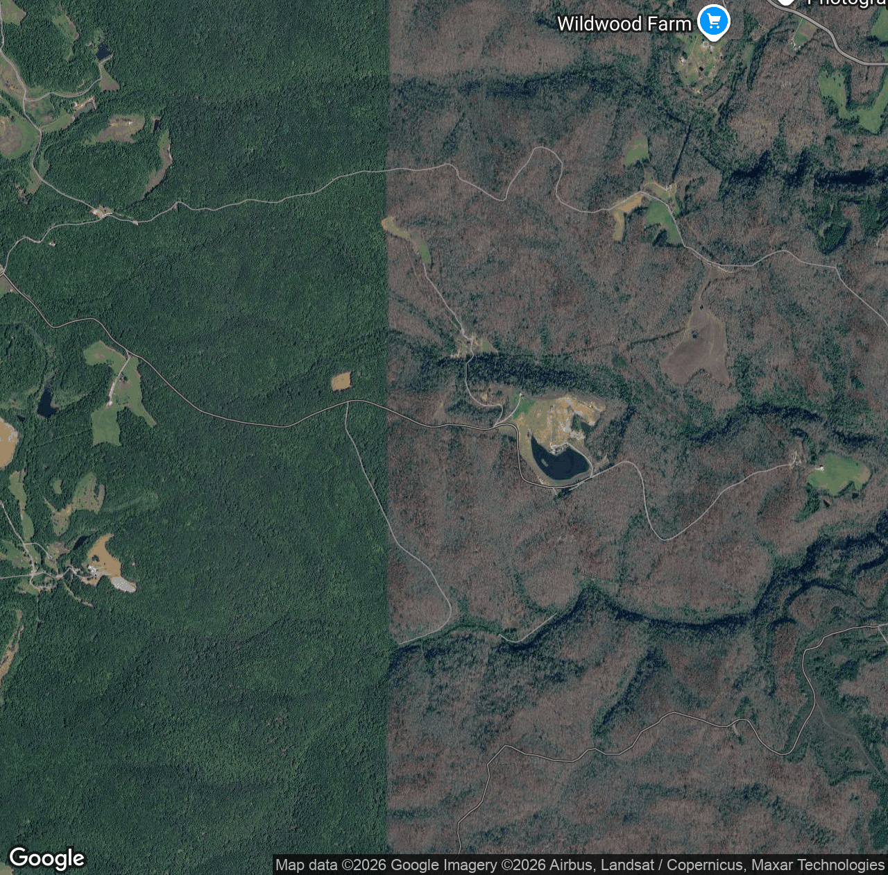 Wild Dog Trail Road