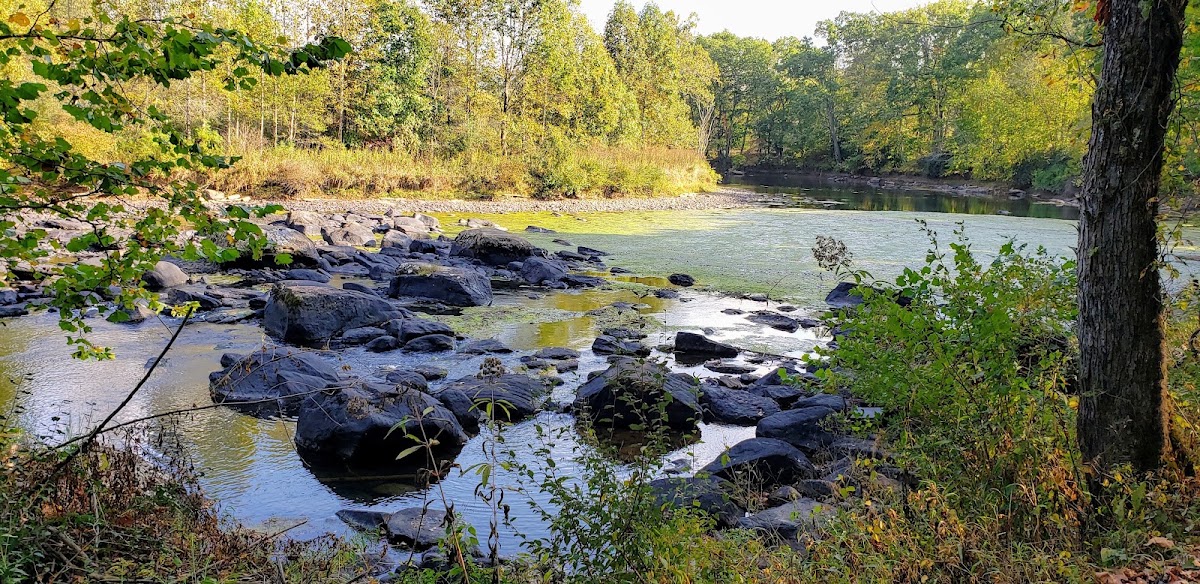 Tygart River