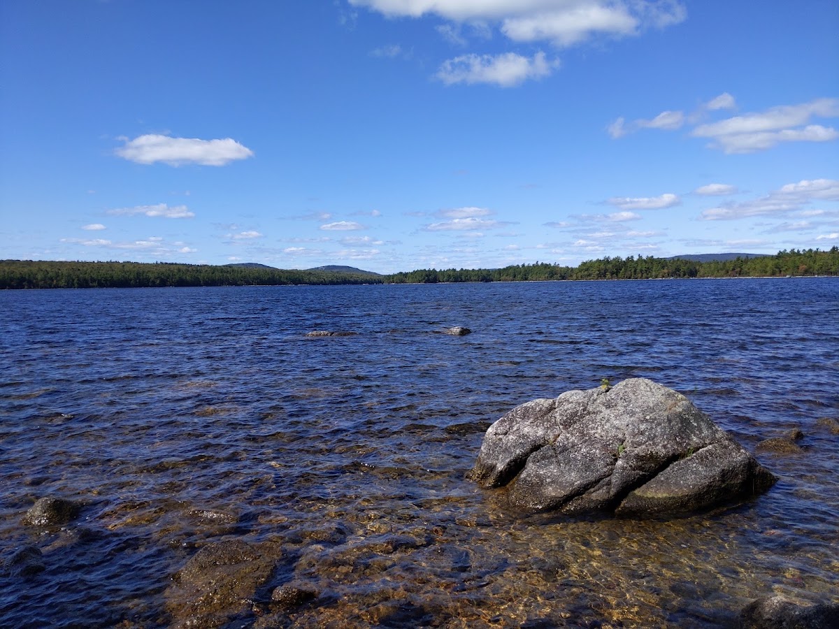 Branch Lake