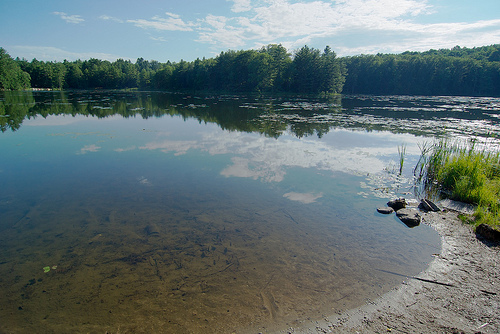 Cole Pond