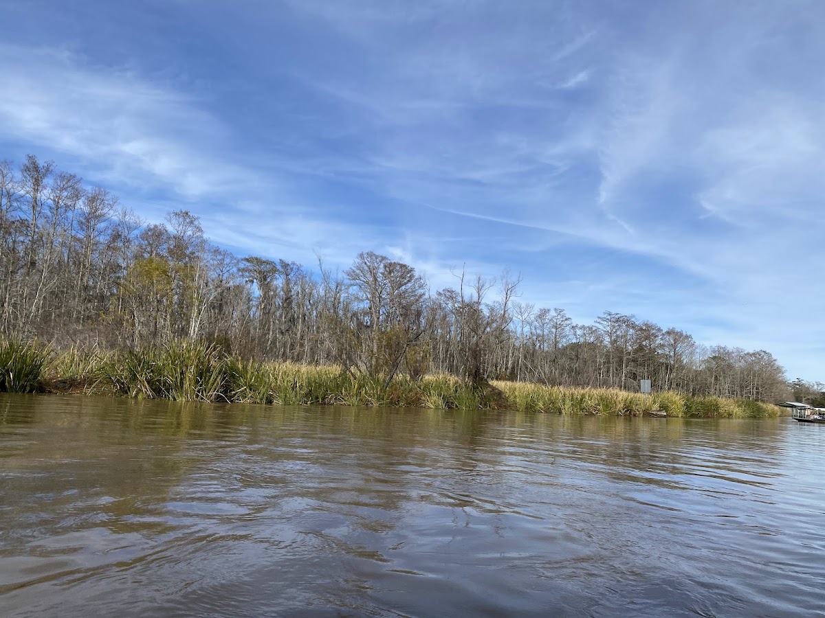 West Pearl River