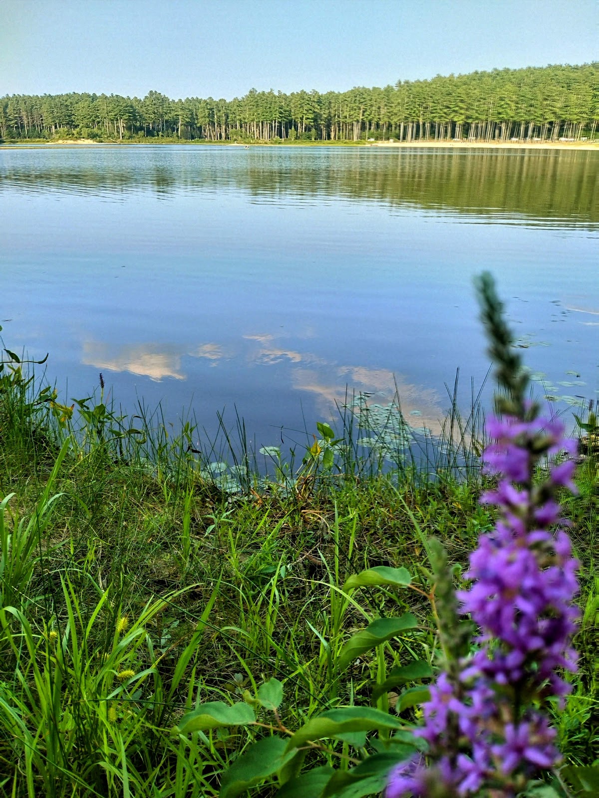 Everett Lake