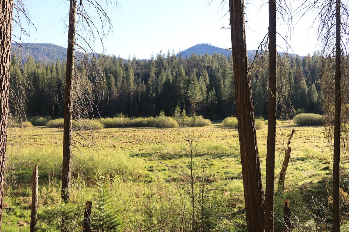 Wawona Meadow Loop Trail