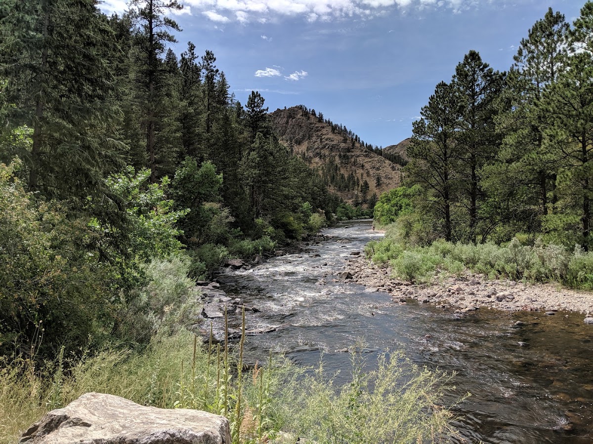 North Fork Cache La Poudre River