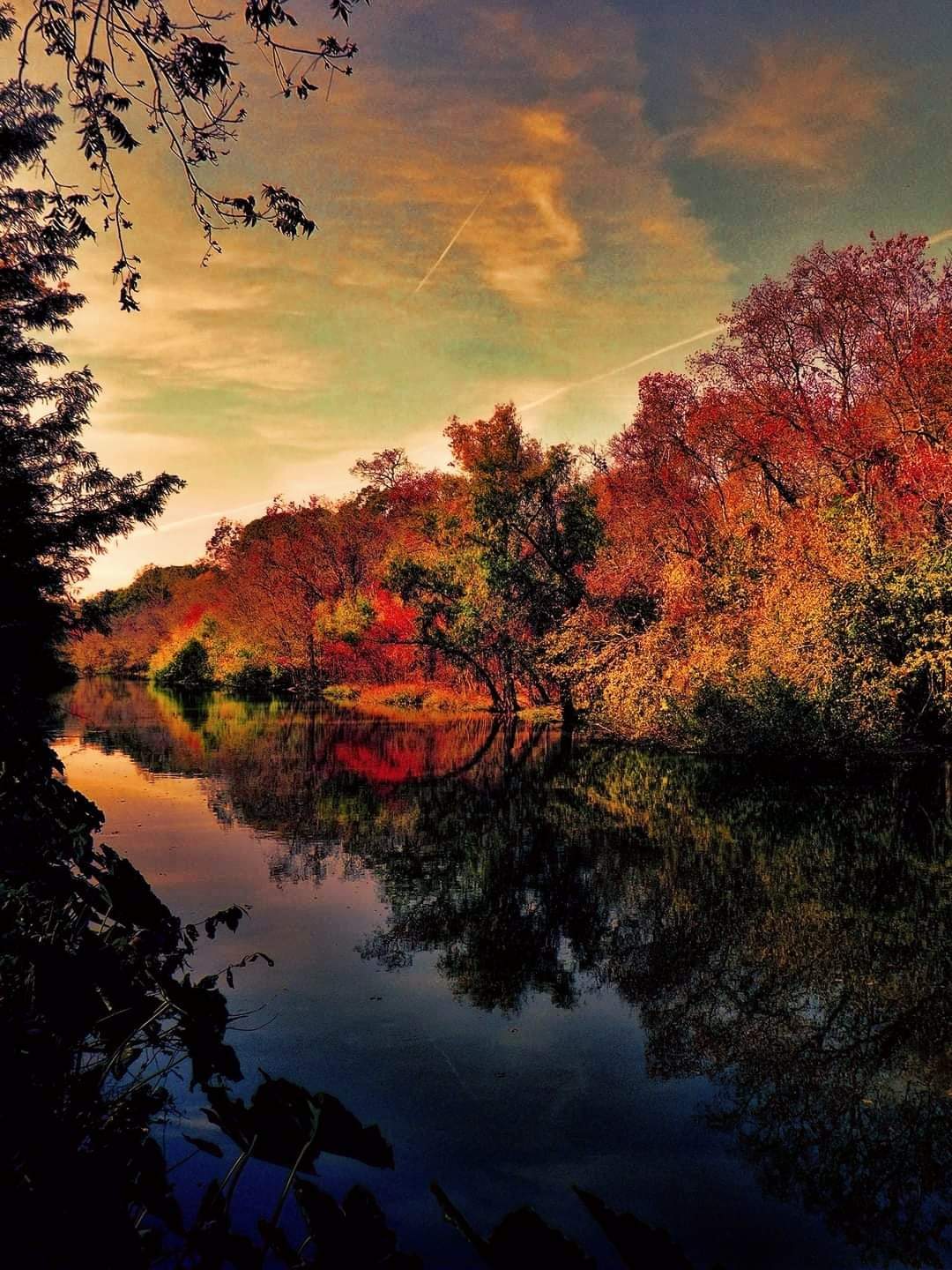 Bayou Teche