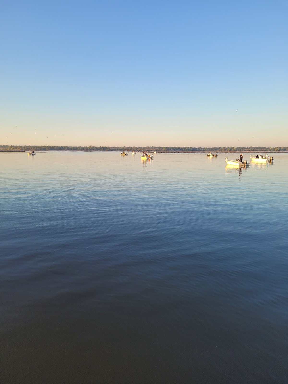 Bayou Bienvenue