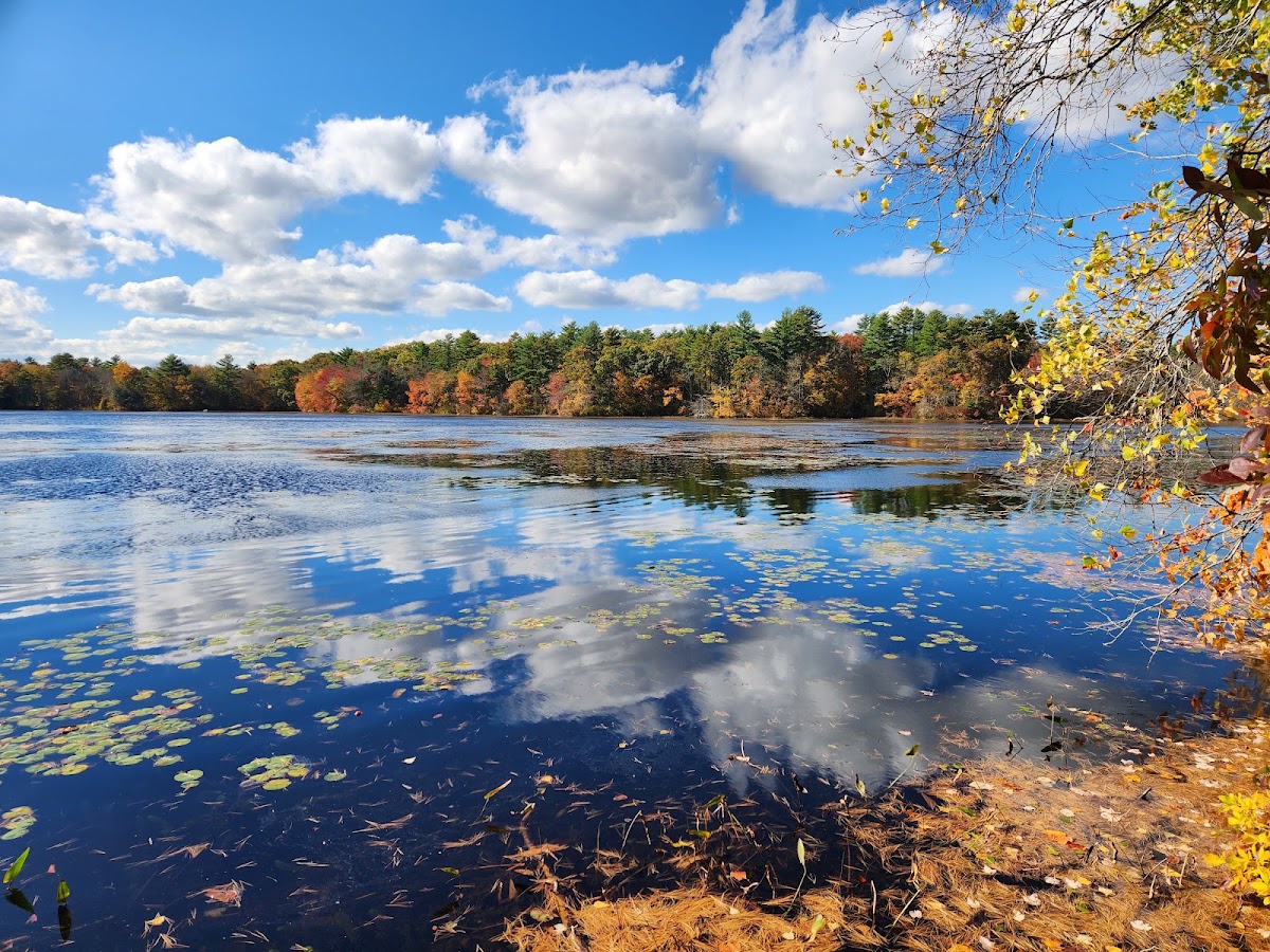 Browning Mill Pond