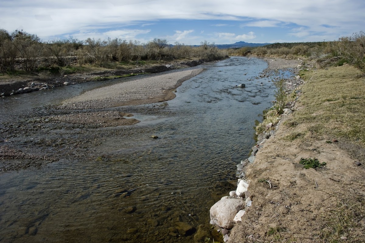 Aravaipa Creek